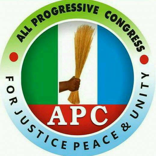 Ogun APC faction decries council congresses, alleges